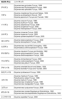 日本沿岸産の頭足類にみられるニハイチュウ類