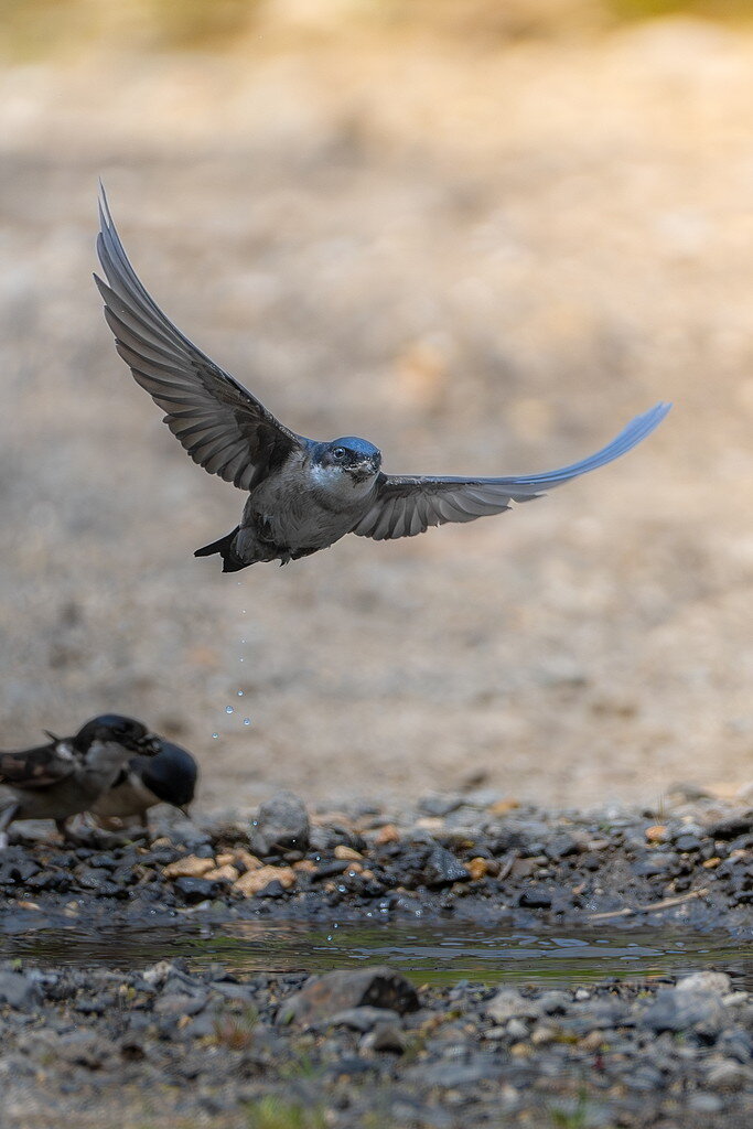 佳作 No. 1「空へと続く道」